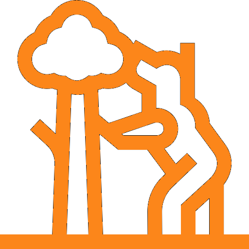 Alquiler Autocaravanas 4